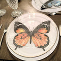 Mariposa Miel