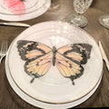 Mariposa Vainilla
