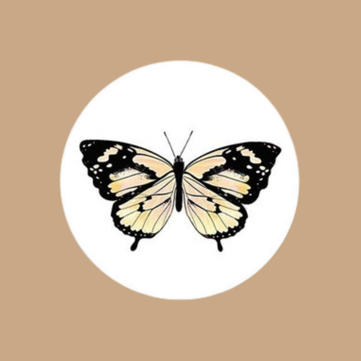 Mariposa Vainilla