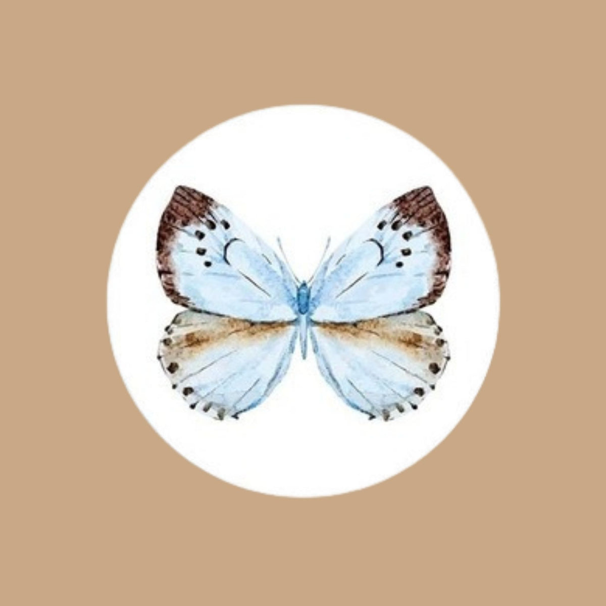 Mariposa Celeste