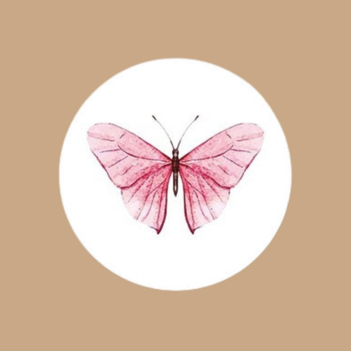 Mariposa Rosa