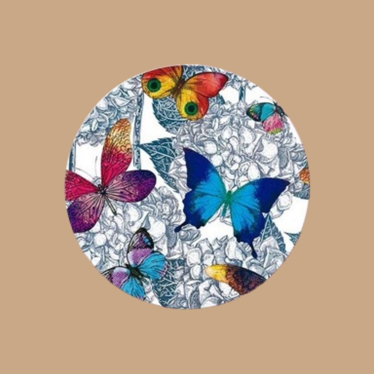 Mariposas de Jardín