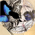 Mariposas Monocromática