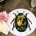 Escarabajo Oro Verde
