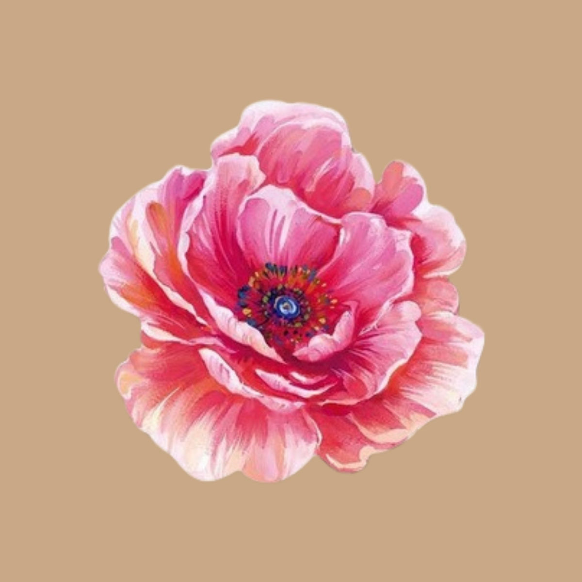 Amapola Rosa