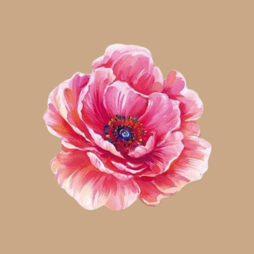 Amapola Rosa